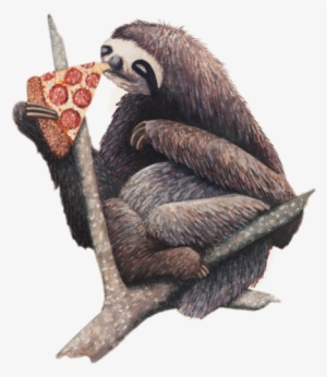 Sloth Pizza
