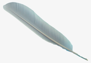 Pegasus Feather