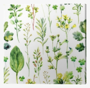 Watercolor Meadow Weeds And Herbs Seamless Pattern - Herbs Background