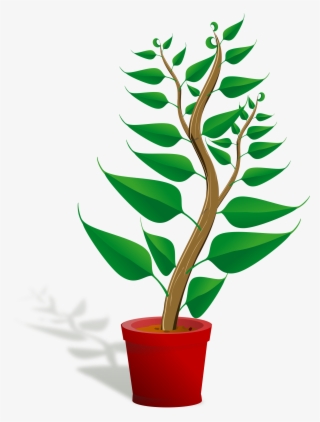 Pot On Stove Clipart, Vector Clip Art Online, Royalty - Getting To Know Plants