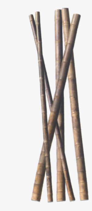 Bamboo Stick Png Download