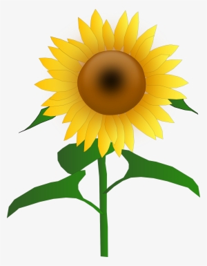 Free Free 297 Outline Simple Sunflower Clipart SVG PNG EPS DXF File