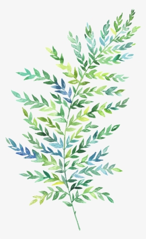 Hand Painted Green Leaf Png - 水彩 花卉 Png