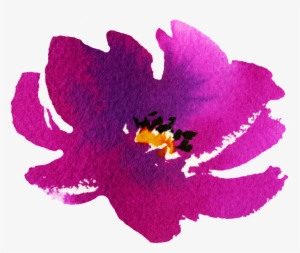 Hand Painted Blooming Flower Png Transparent - Portable Network Graphics