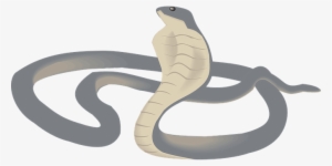 Cobra Head Raised Snake Reptile Curled Poi