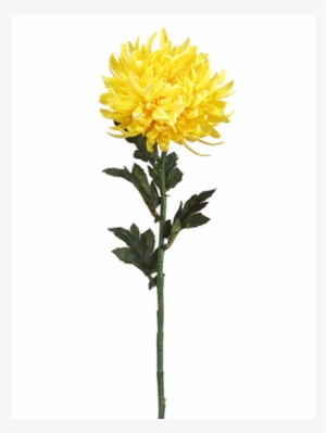 24" Chrysanthemum Spray Yellow Gold