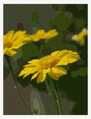 Medium Image - Yellow Daisies Journal: (blank Book, Notebook, Diary)