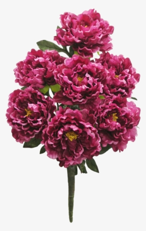 Beauty Peony Bush X7 Sale Item - Love Flower