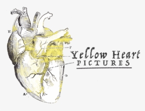 Yellow Heart Png