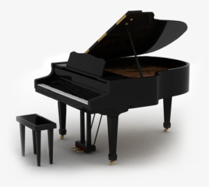 Best Storage Seating For Grand Pianos - Prix Bosendorfer 225