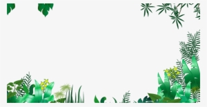 Jungle Border Png