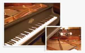 Erard Baby Grand Piano - Roland Piano Plus 400 Price
