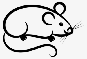 Cute Mouse, Gray, Beard, Pink Ears Png Image And Clipart - Mice Clipart Black And White