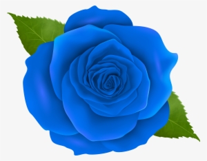 Blue Rose Centifolia Roses Clip Art