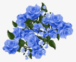 Blue Roses - Blaue Blume Gif