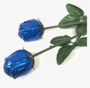 Royal Blue Foiled Belgian Chocolate Color Splash Roses - Transparent Roses Royal Blue