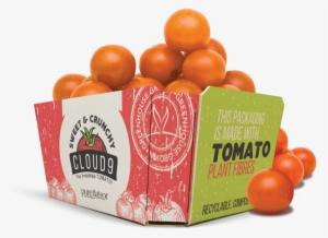 pure hothouse foods is packaging its snacking tomato - vegetable fibres in packaging