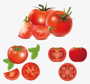 Hamburger Caprese Salad Clip Art Fresh Tomatoes - Tomato Vector