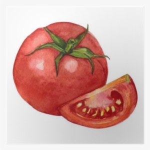 Tomate Gezeichnet