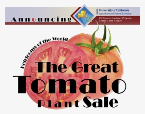 Uc Master Gardener Great Tomato Plant Sale April 8, - Mstar Semiconductor