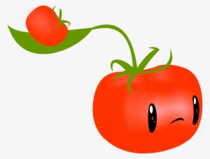 Tomato-pult - Tomato Pult Pvz