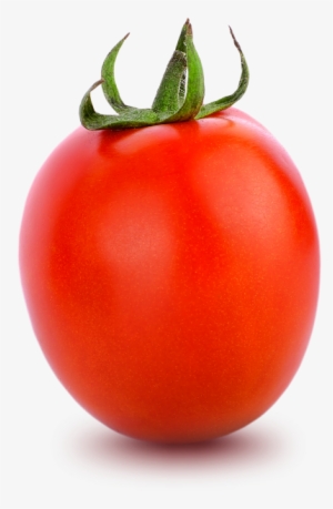 Mini Plum - Plum Tomato