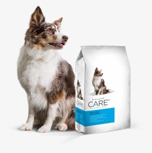 Prescription Renal Dog Food - Diamond Care Renal Dog