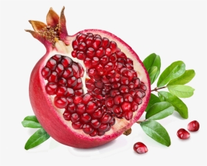 Pomegranate Png