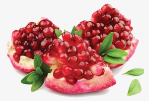 Pomegranate Png Image - Pomegranate Png