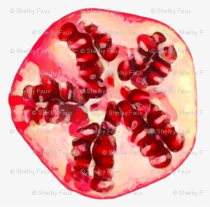 Pomegranate Love <3 - Pomegranate