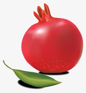 Pomegranate Clipart Png