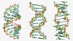 A Beautiful Microbe - Genetic Code