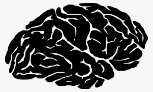 Brain Cranium Head Psychology Silhouette S - Silhouette Brain