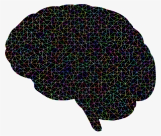 Human Brain Neuron Organ Visual Perception - Portable Network Graphics
