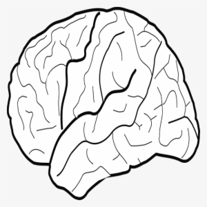Planet - - White Brain Clip Art