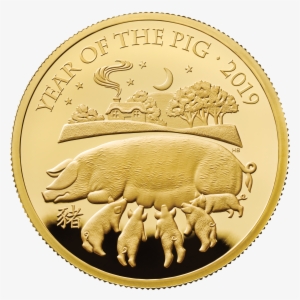 Commemorative Coins For Lunar Year Of The Pig Struck - Year Of The Pig Coin
