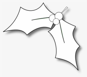 Christmas Holly Line Art Christmas Holly Clip Art Transparent Png 5432x4046 Free Download On Nicepng