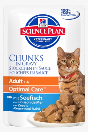 Sp Feline Science Plan Adult With Ocean Fish - Hill's Science Plan Cat