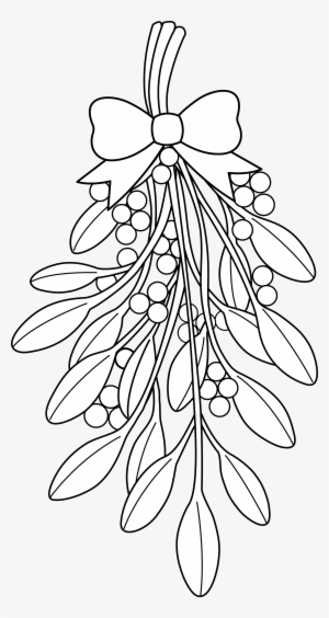 Christmas Holly Coloring Pages With Drawing Ubisafe - Mistletoe Drawing