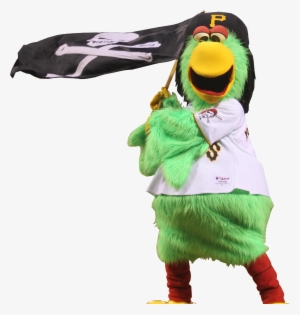 Pirate Parrot Appearance The Pirate Parrot Will Be - Costume Hat