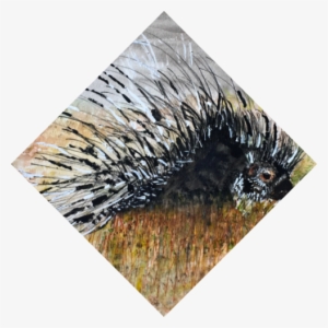 Porcupine - Grass