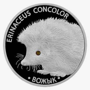 By 2011 20roubles Hedgehog B - Монета Вожык