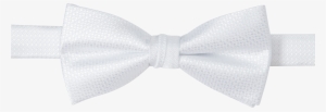 White Bowtie Png