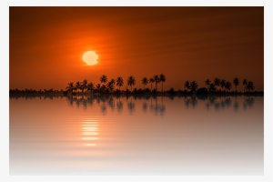 Laminated Poster Sun Tree Isolated Sunset Png Holiday - Sun In Nature Png