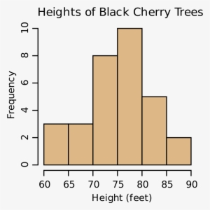 Black Cherry Tree Histogram - Histogram Cherry Trees