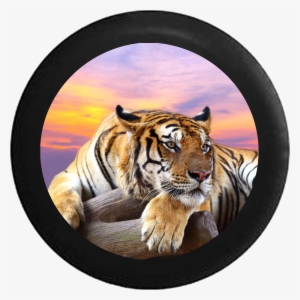 Lion Jungle Cat Sunset Sky On Log Jeep Camper Spare - Live Wallpaper Pc Windows 7 Animals