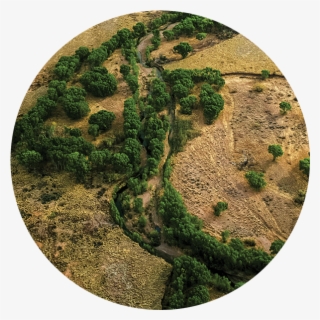Desert Rivers Program - Circle