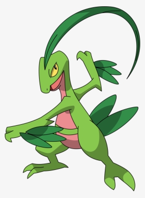 Mike The Fanfiction Wiki - Pokemon Grovyle