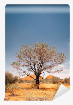 Deserts Of Australia