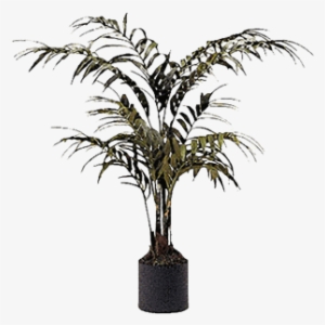 Silk Palm Tree In Container - Brook Furniture Rental